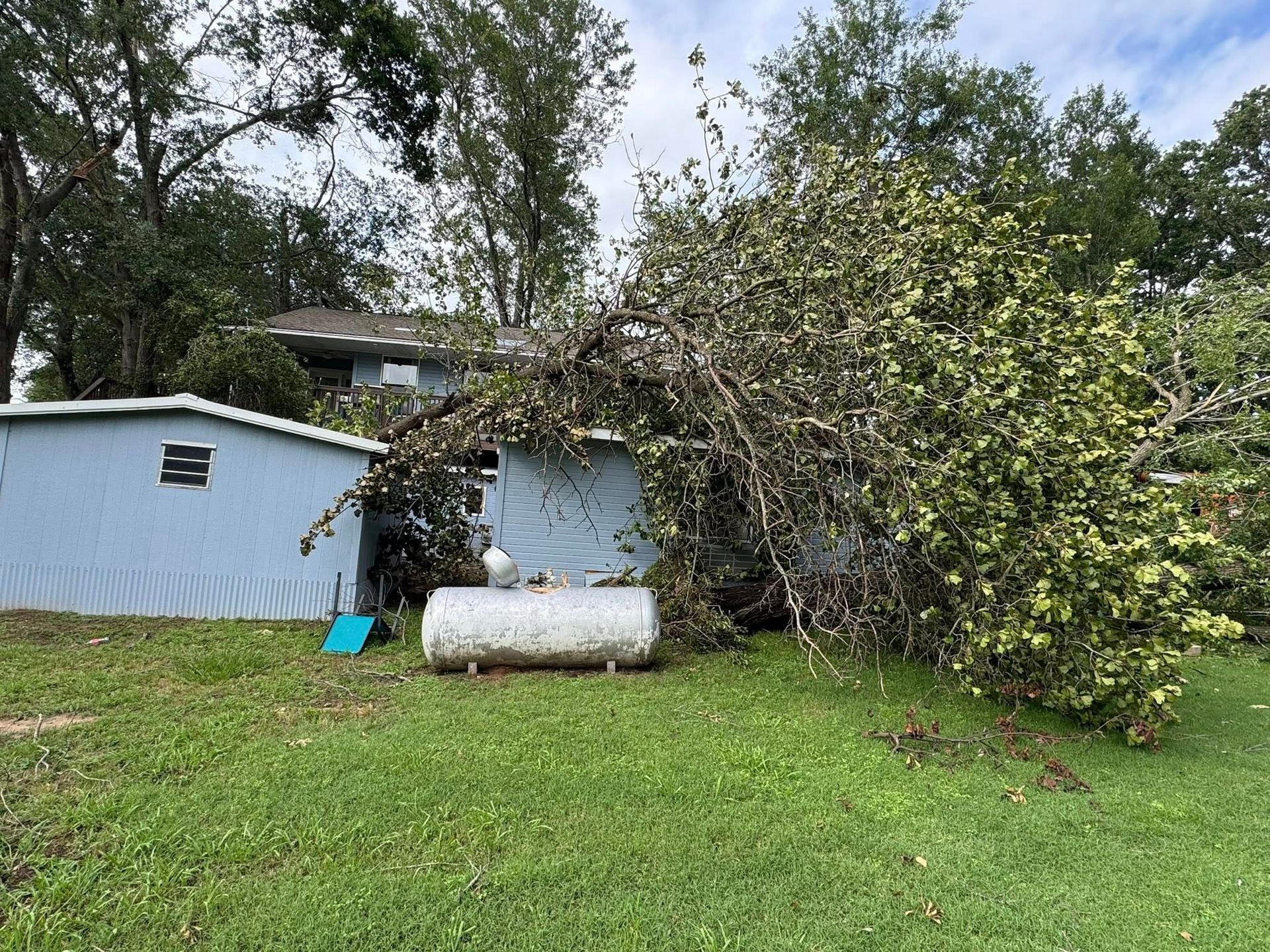Tree fallen on a blue shed and house, green lawn, white propane tank, overcast sky.