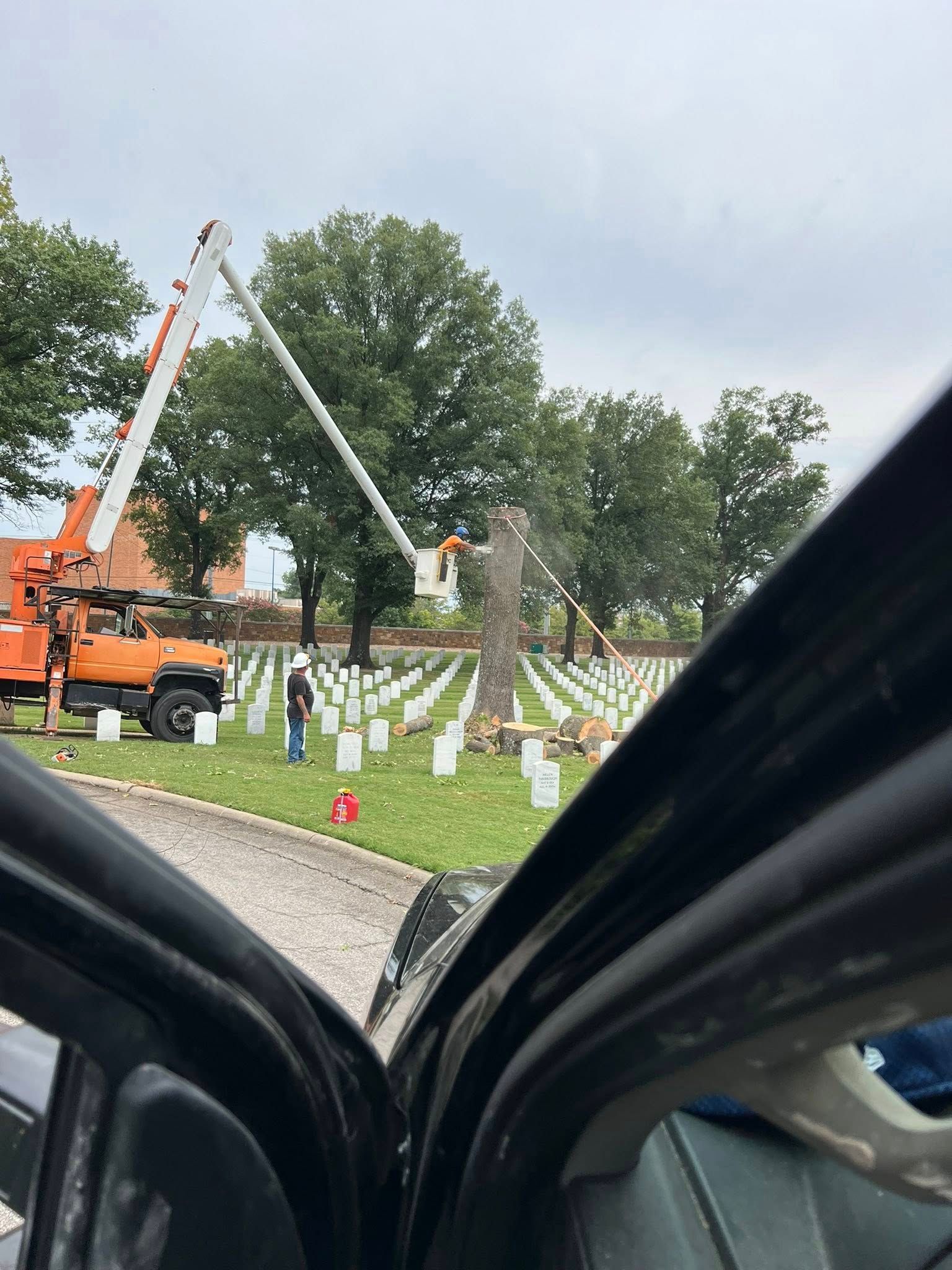 Tree trimming at a cemetery. A person in a lift bucket is cutting a tree. Orange truck. White grave markers. Cloudy sky.