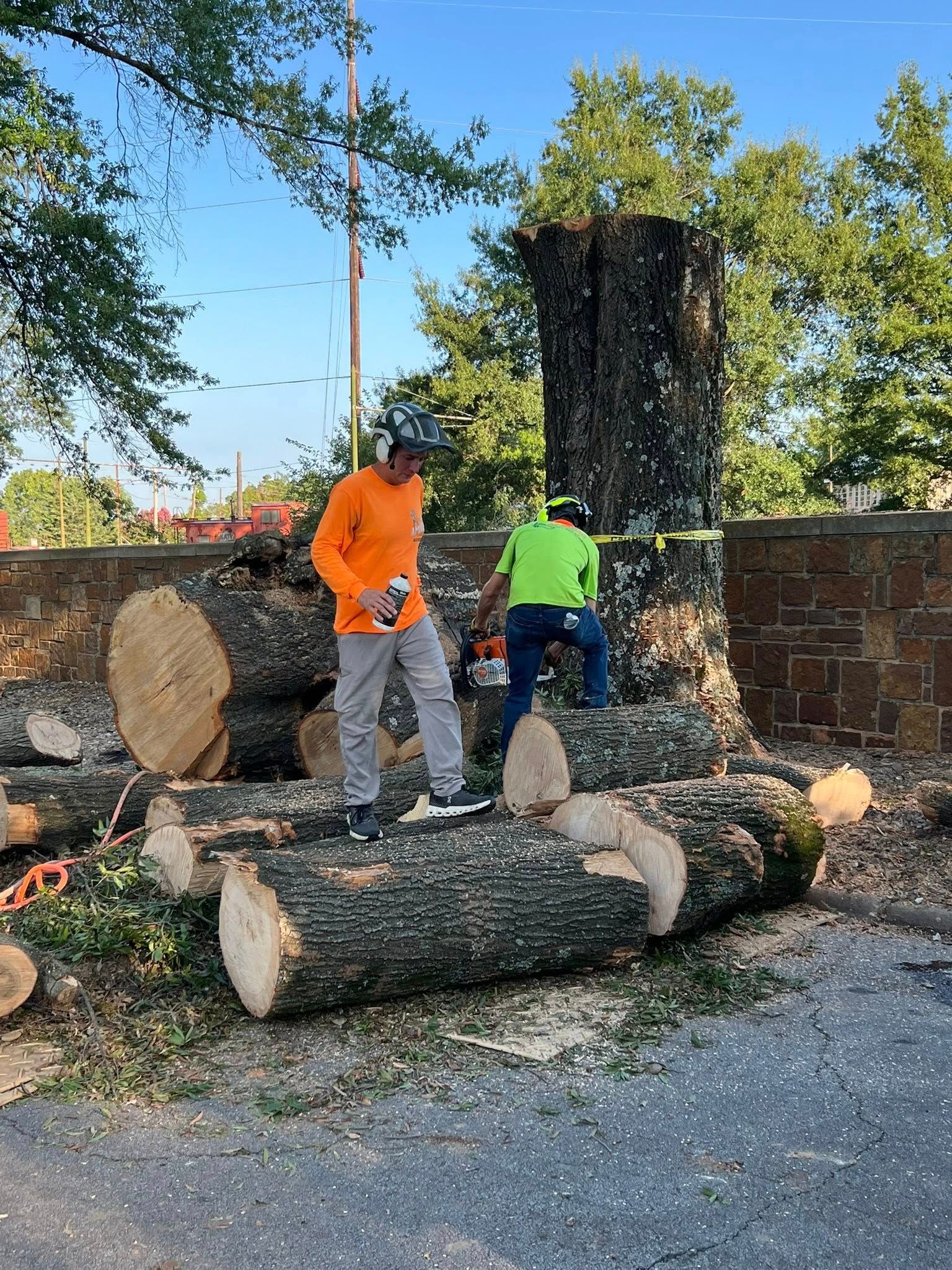 Two people cutting a tree trunk into logs with chainsaws outdoors. One wears orange, the other green.