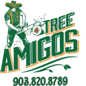 Logo: Lumberjack cutting a log with a chainsaw; "Tree Amigos" in green with orange highlights; phone number below.