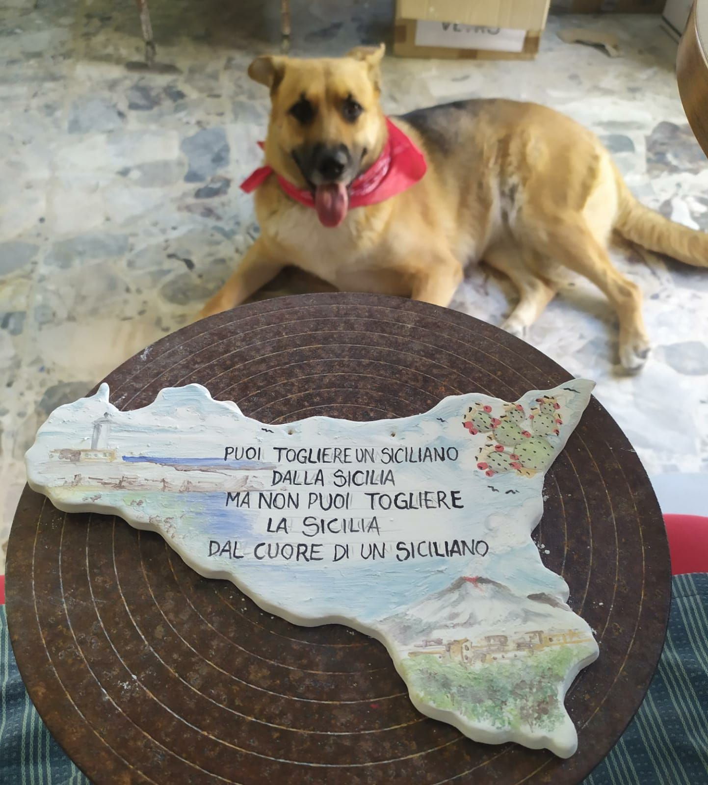 Set di schiaccianoci color verde acqua e bianco con un cracker cromato, su una superficie bianca, con vasi decorativi.