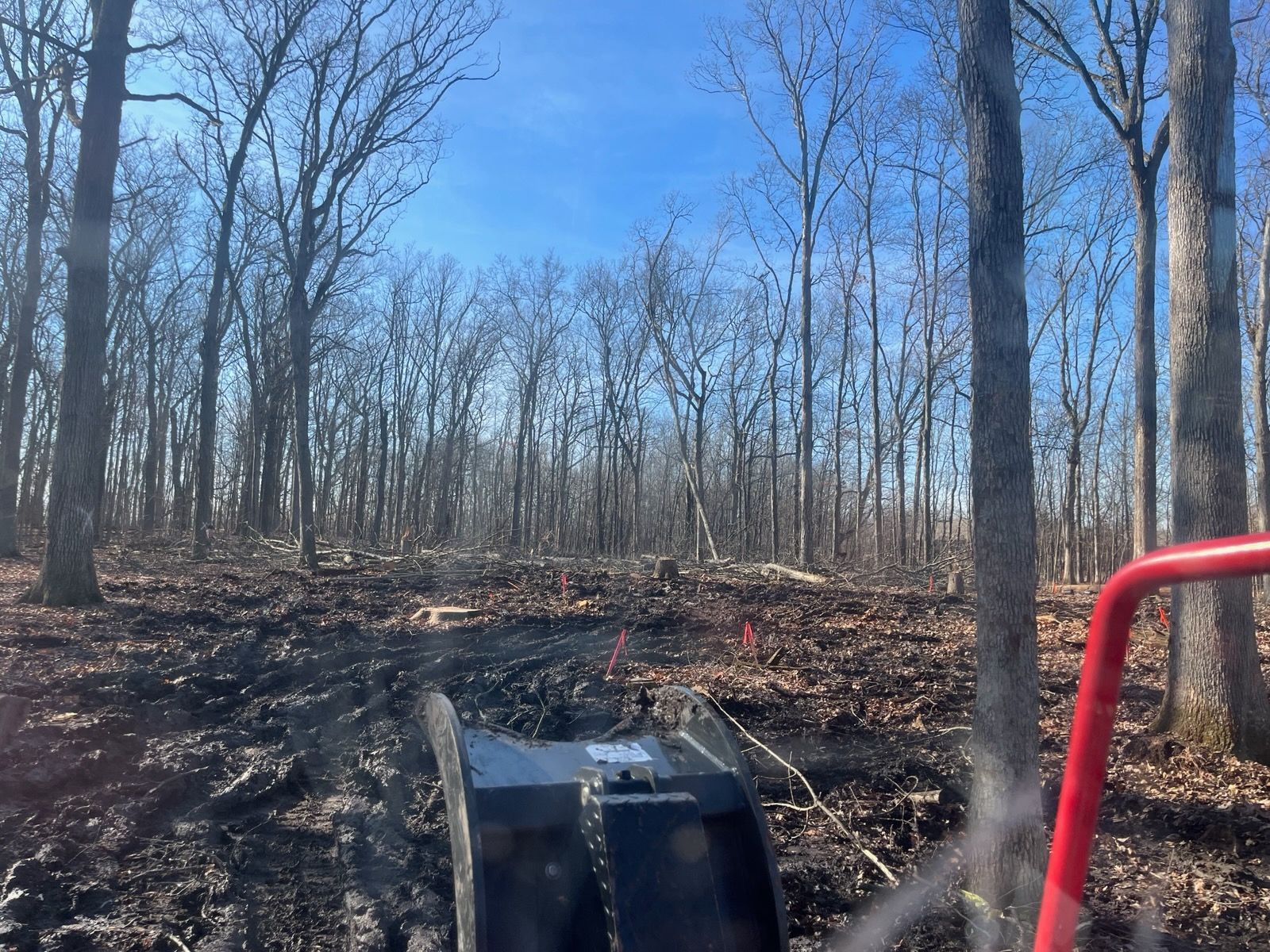 Tree fallen on a house, severely damaging the roof and siding. Green foliage, brown roof tiles.