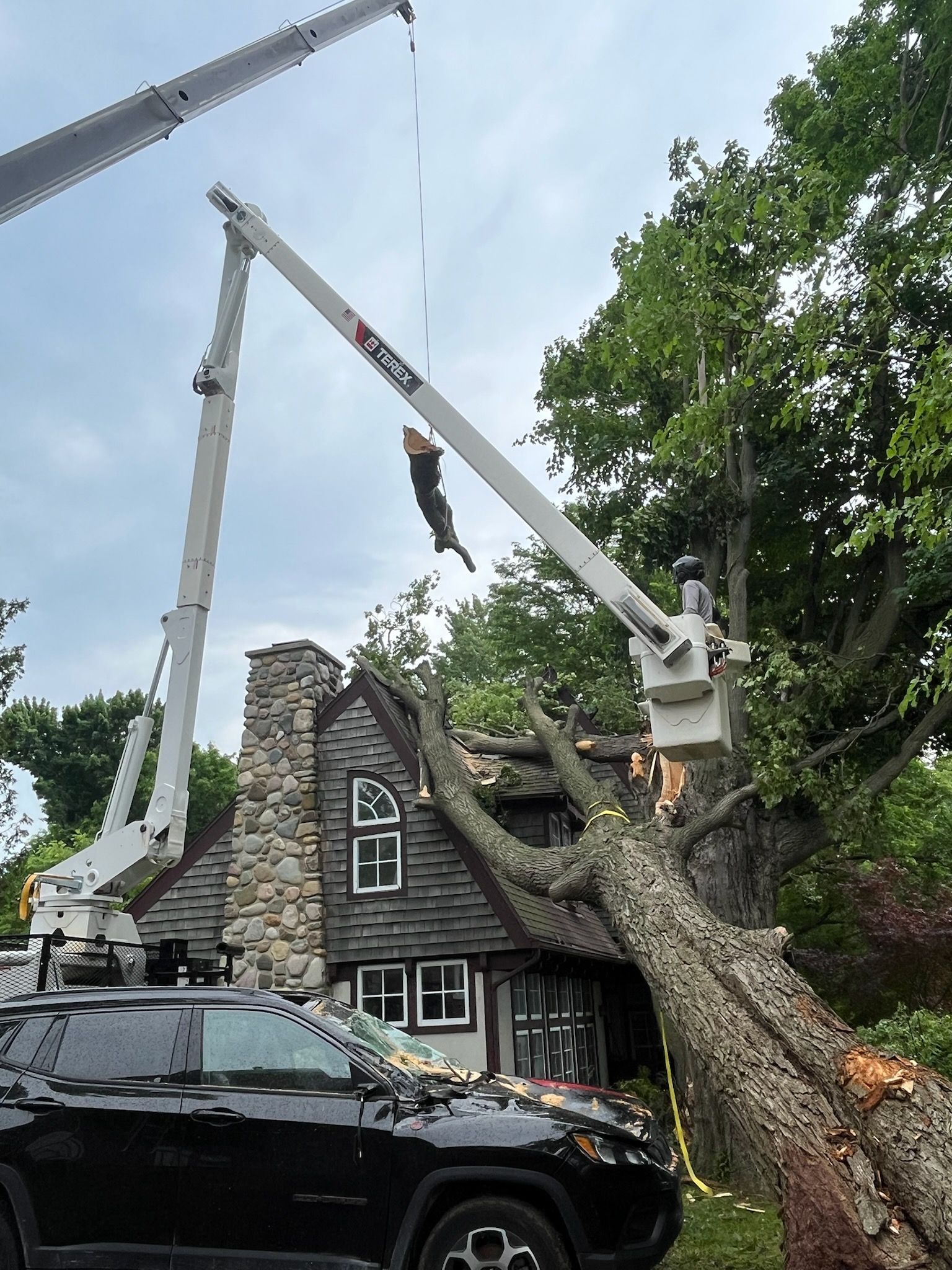 Stump grinder grinding a tree stump. Yellow machine, wood chips flying, red lever.