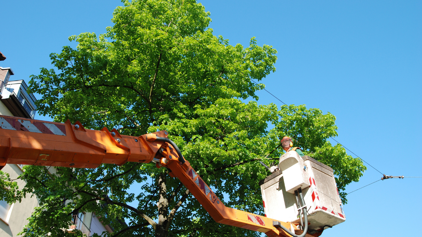 Orange lift truck boom with worker trimming tree branches near power lines on a sunny day.