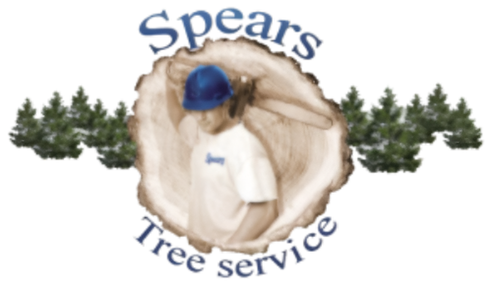 Spears Tree Service logo: man with chainsaw inside a wood slice, surrounded by trees.