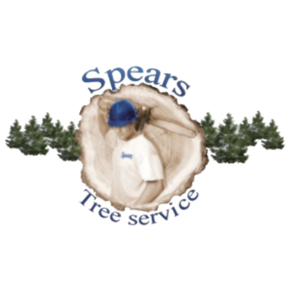 Logo for Spears Tree Service: Arborist in wood slice, surrounded by trees; blue text.