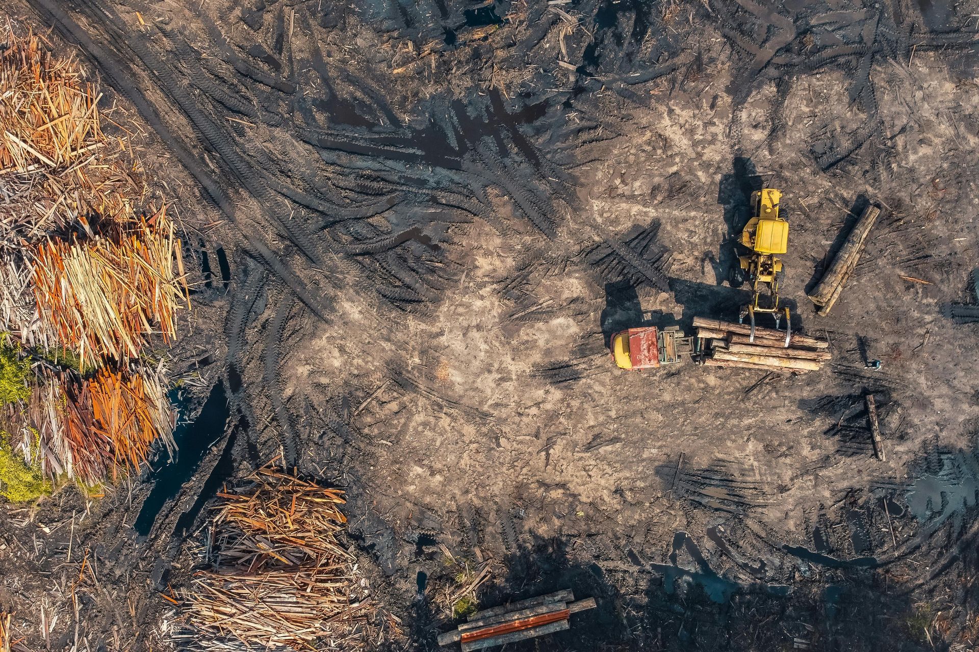 Aerial view of a logging site with piles of cut wood and a yellow excavator on bare ground.