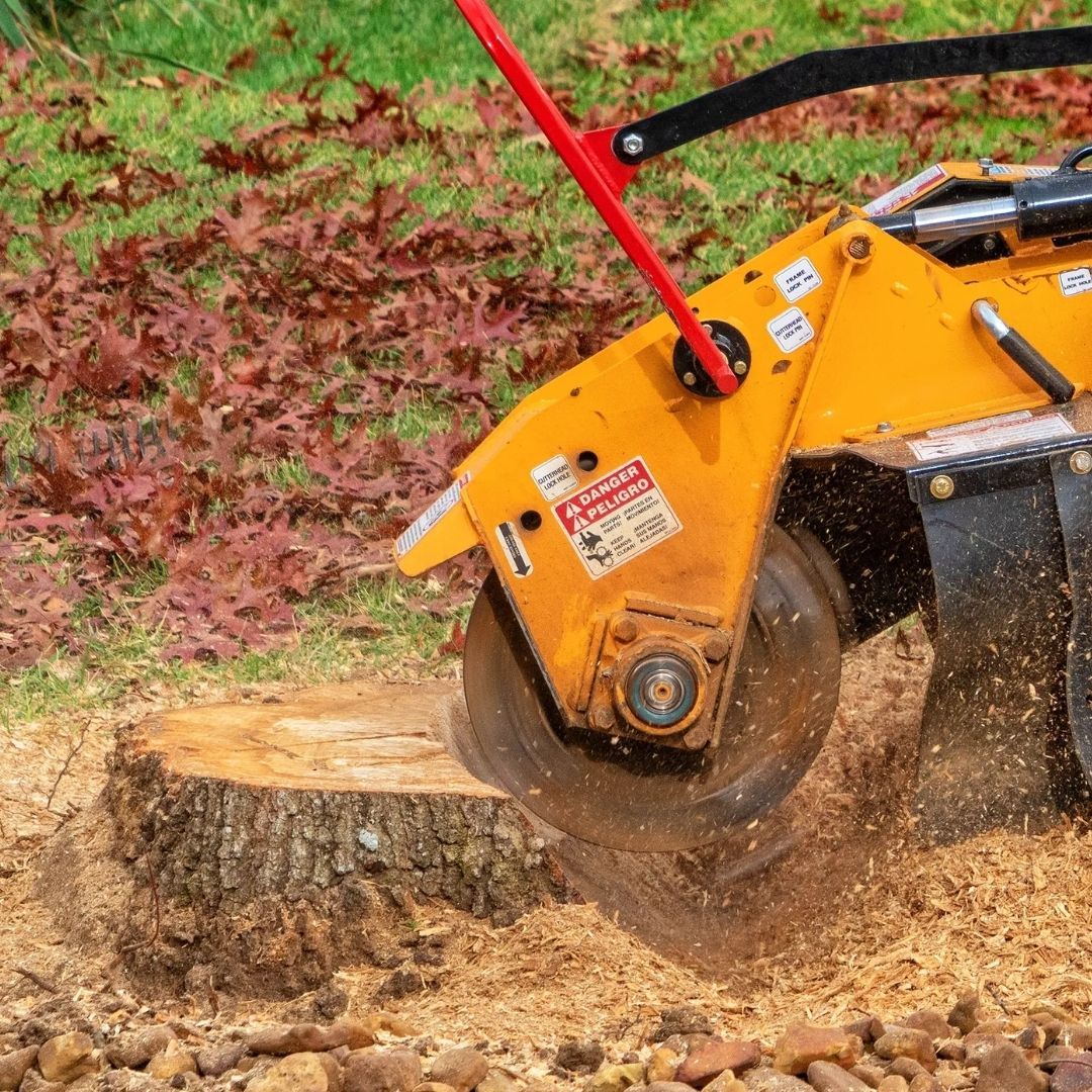 Stump grinder in action, cutting into a tree stump. Orange, metal machine, with red handle. Wood chips flying.