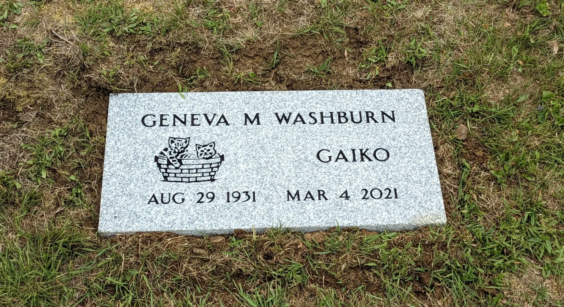 A cemetery filled with lots of graves and trees