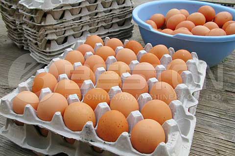 Make Egg Trays