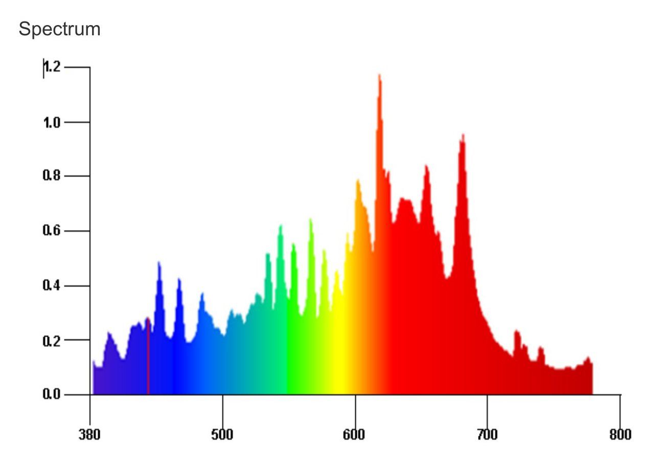 efinity SUPERSTAR SERIES INDOOR LED - Bloom