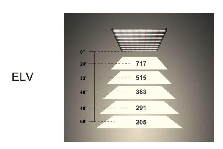 efinity SUPERSTAR SERIES INDOOR LED - Vege