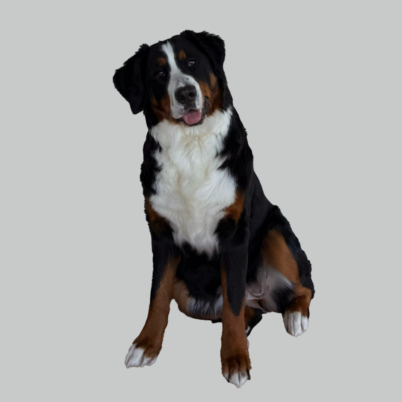 a personal injury attorney in a suit and tie is adjusting his tie