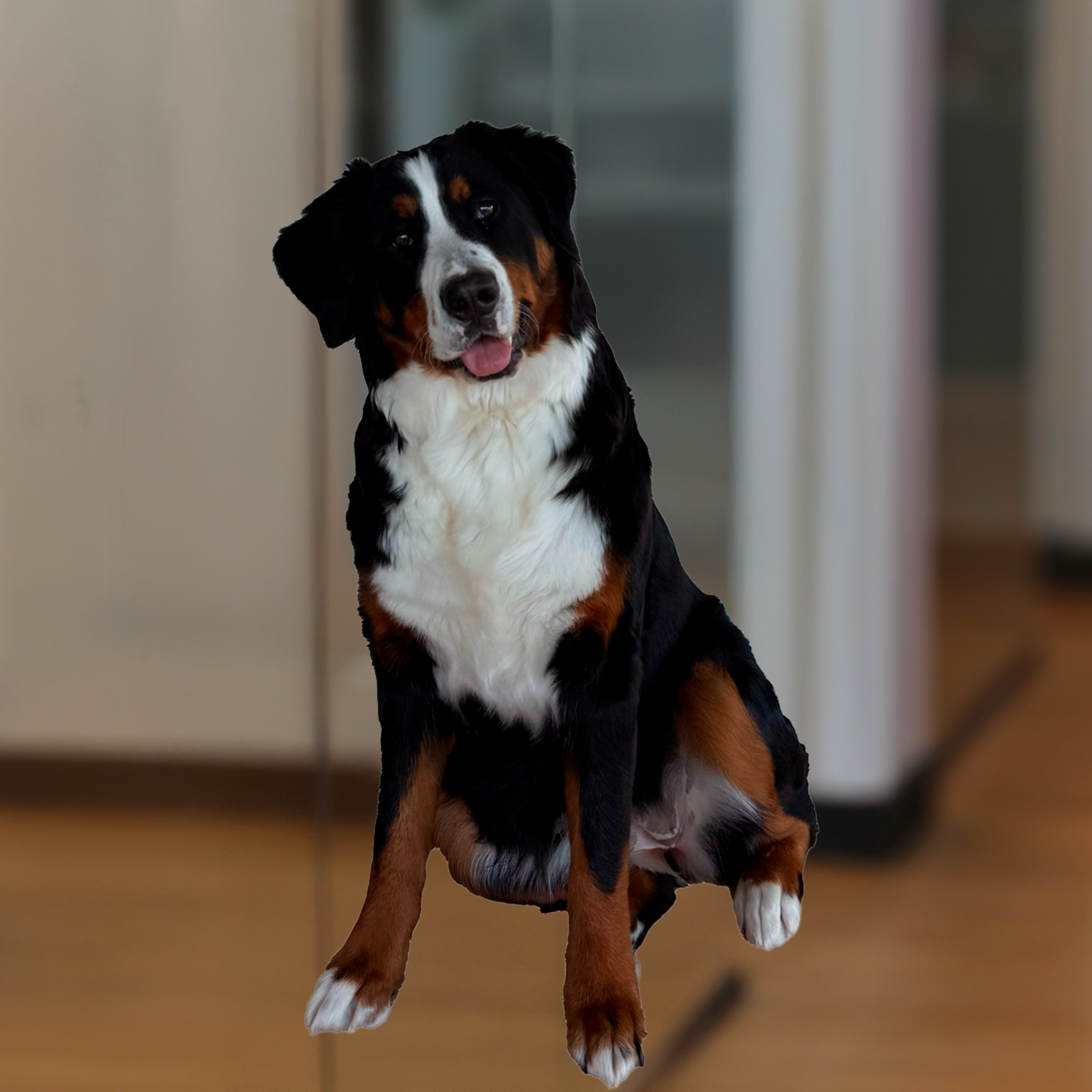a personal injury attorney in a black top and green skirt is sitting on a stool .