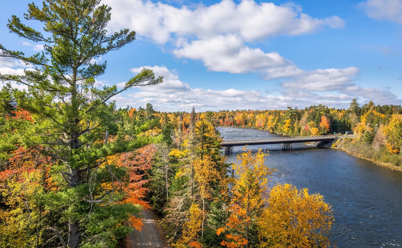 River and bridge through autumnal forest under a blue sky with fluffy clouds.