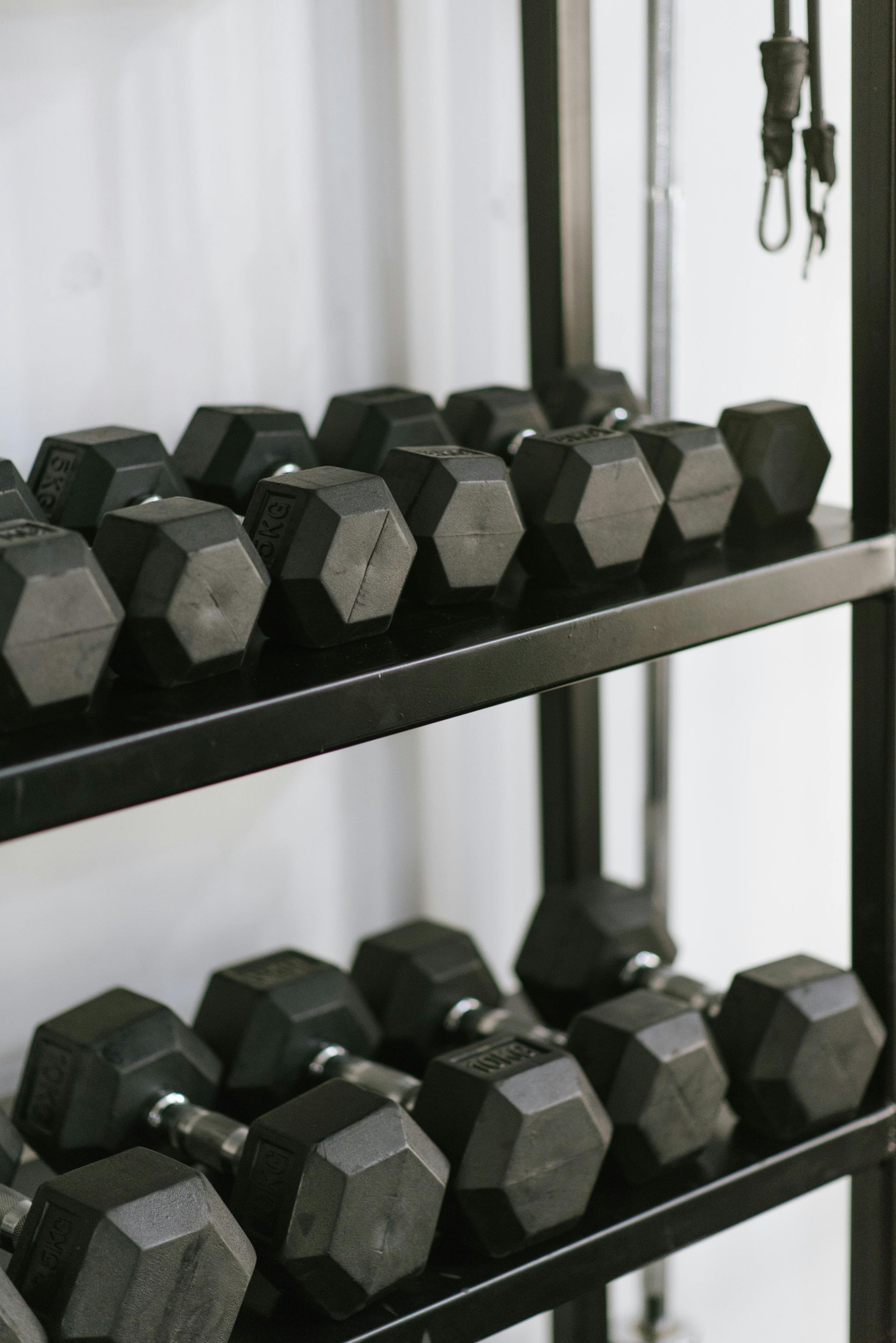 A row of black dumbbells sitting on top of a metal rack.