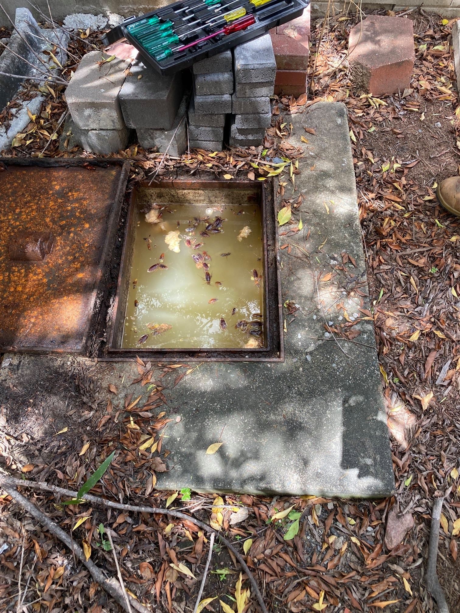 Open Septic Tank Filled With Murky Water and Debris — Top To Bottom Plumbing in Garbutt, QLD