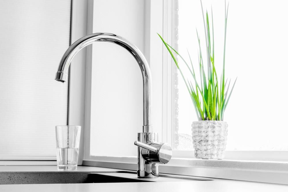 A Kitchen Sink with A Plant and A Glass of Water on The Counter — Top To Bottom Plumbing in Garbutt, QLD