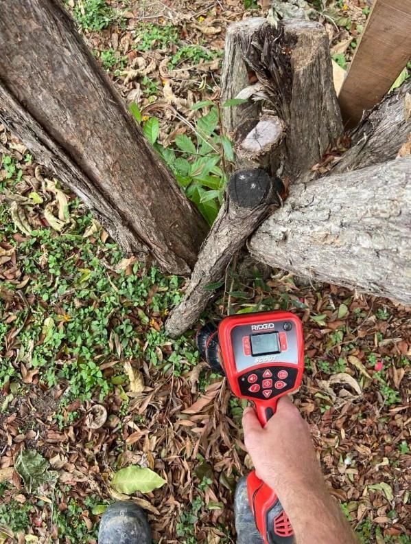 A Person Is Holding a Red Device in Front of A Tree Stump — Top To Bottom Plumbing in Garbutt, QLD