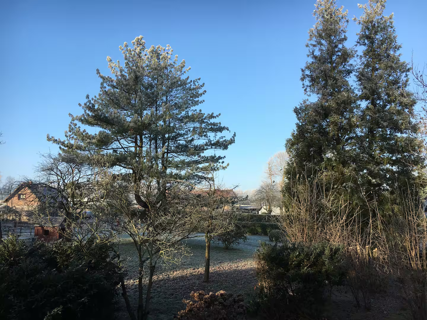 Autre photo de l'extérieur