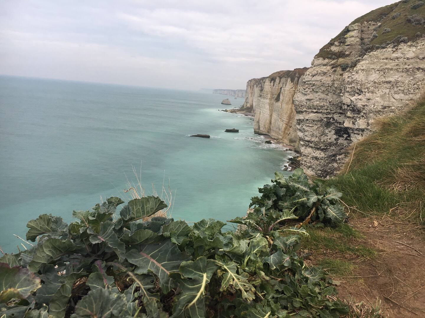 Photo des falaises