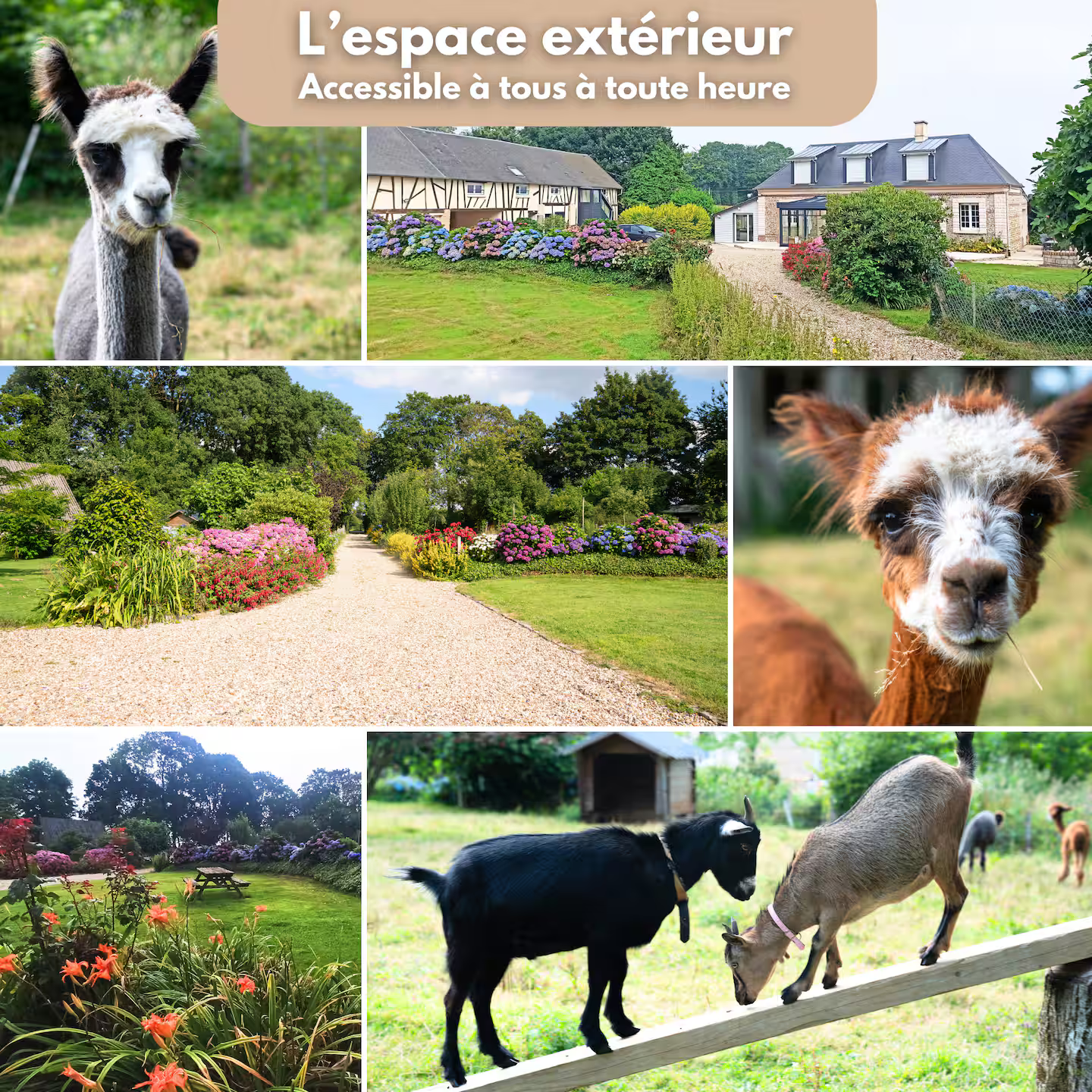 Autres photos du gite