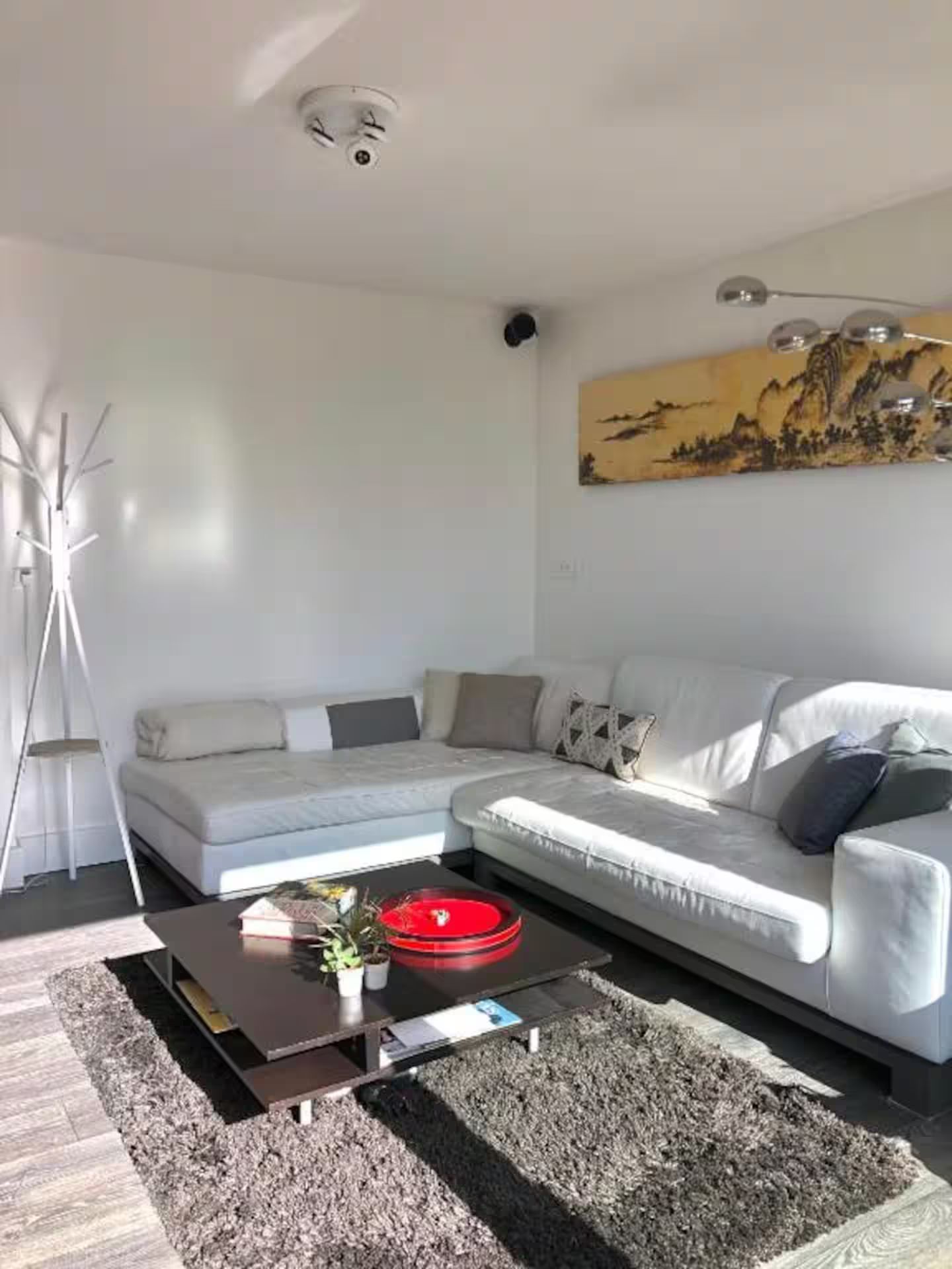 Un salon avec un canapé, une table basse et un tapis.