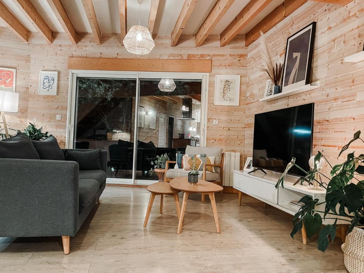 photo du canapé et de la télé