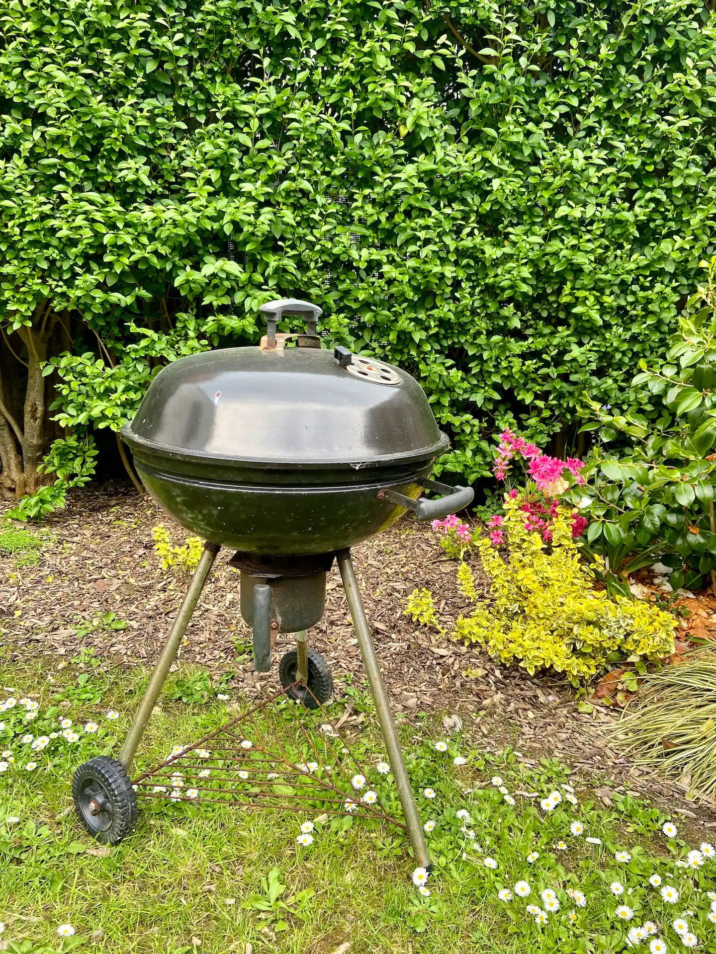 Un petit barbecue est posé dans l'herbe dans un jardin.