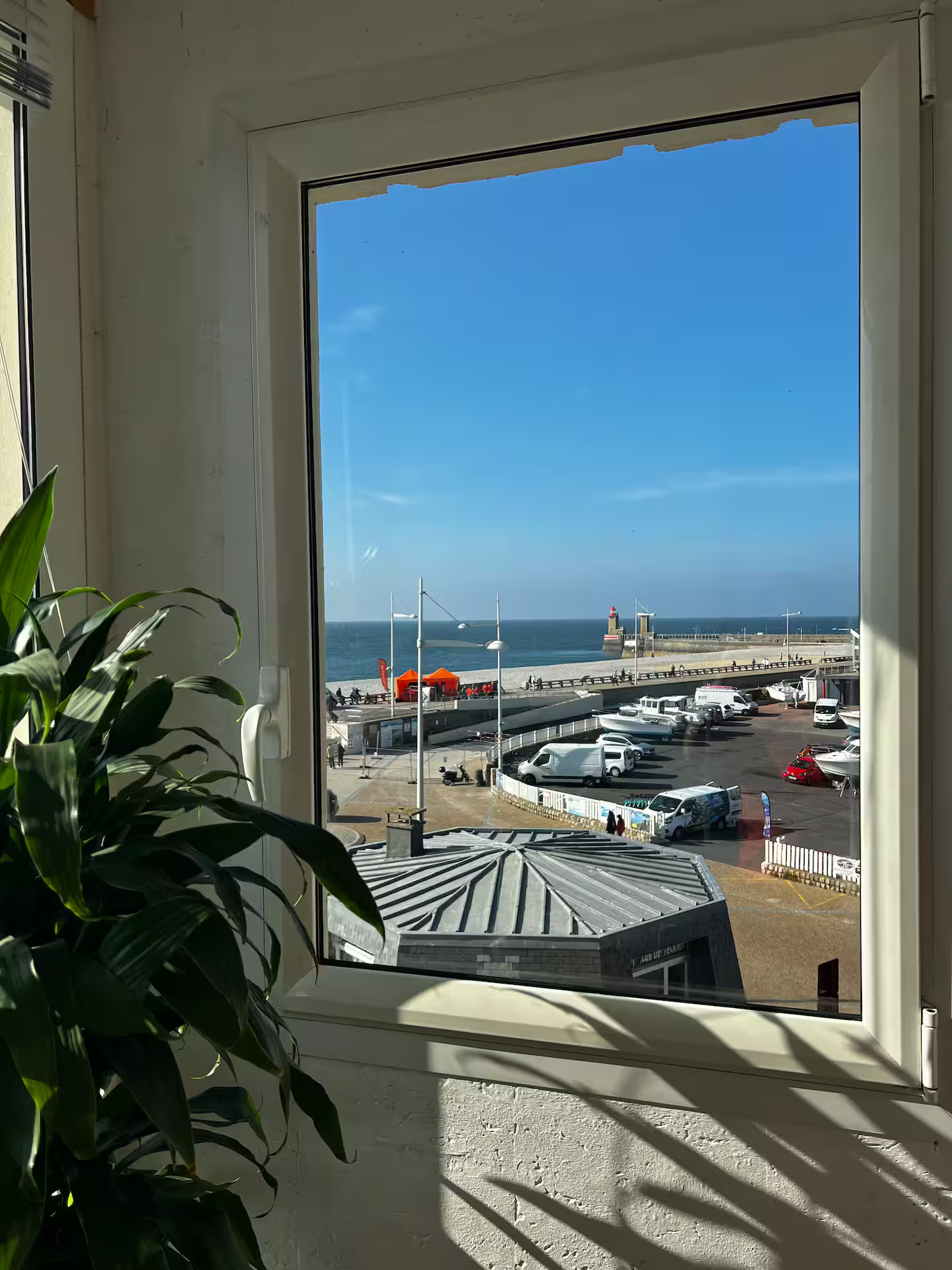 Une vue sur l'océan depuis une fenêtre avec une plante au premier plan.