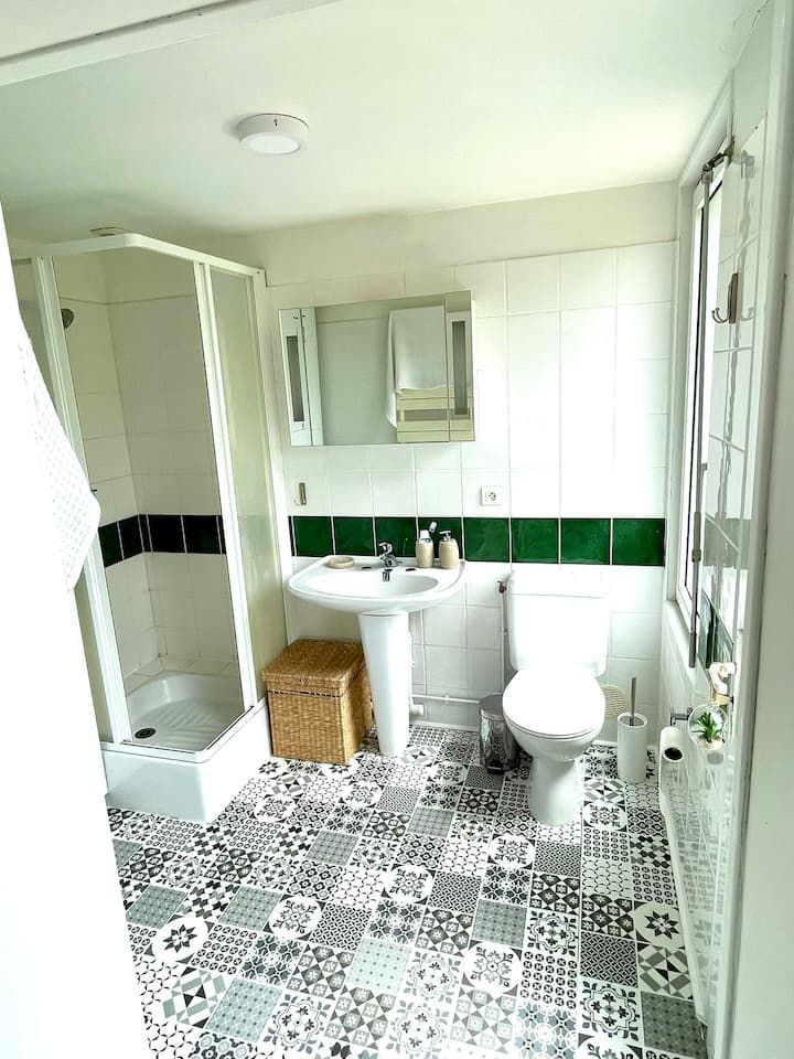 Salle de bains avec sol à motifs, douche, toilettes, lavabo et finitions vertes.