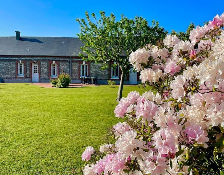 Pelouse verdoyante luxuriante parsemée de fleurs roses et blanches devant un bâtiment en pierre par une journée ensoleillée.