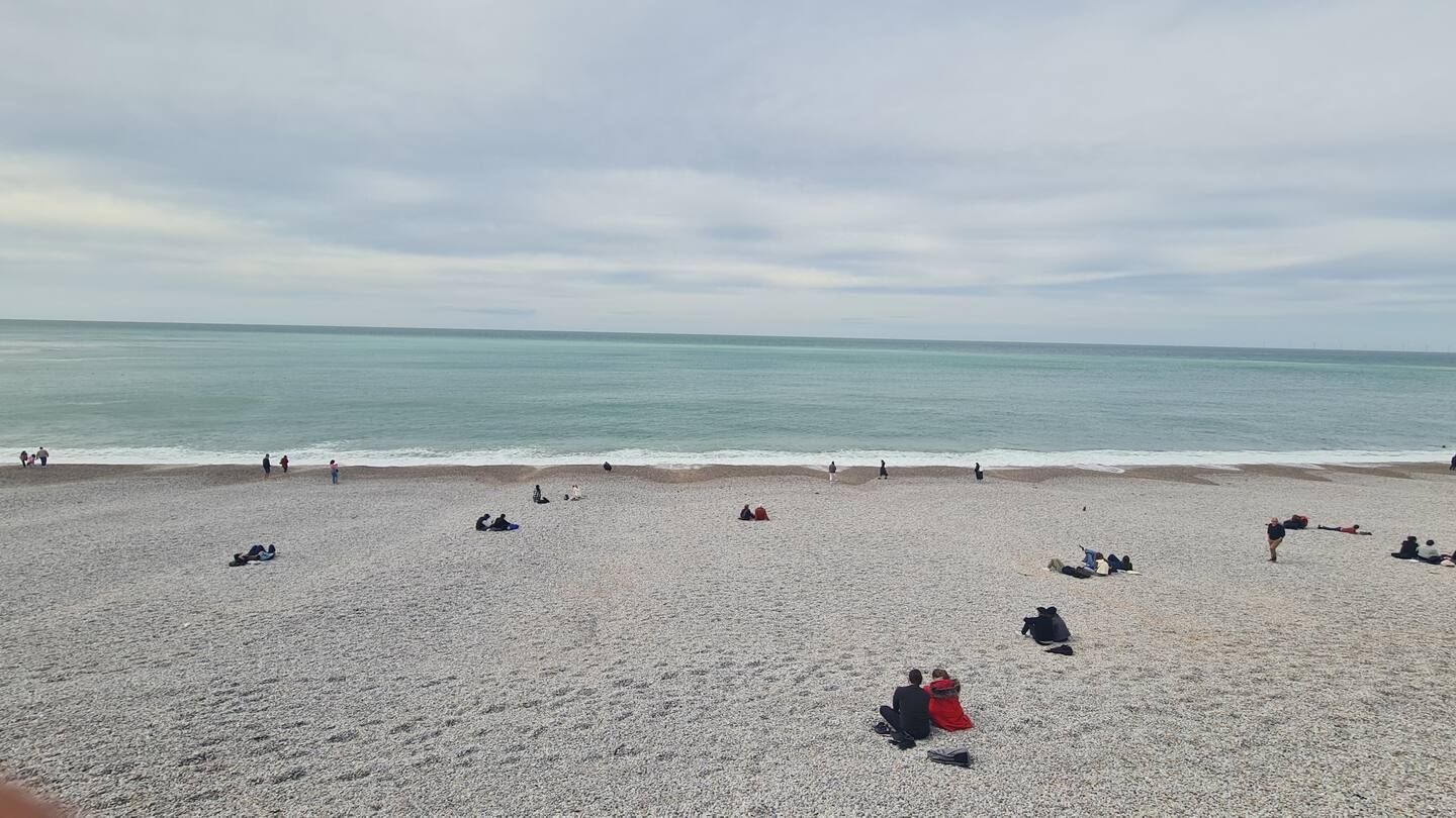 Un groupe de personnes est assis sur une plage près de l'océan.