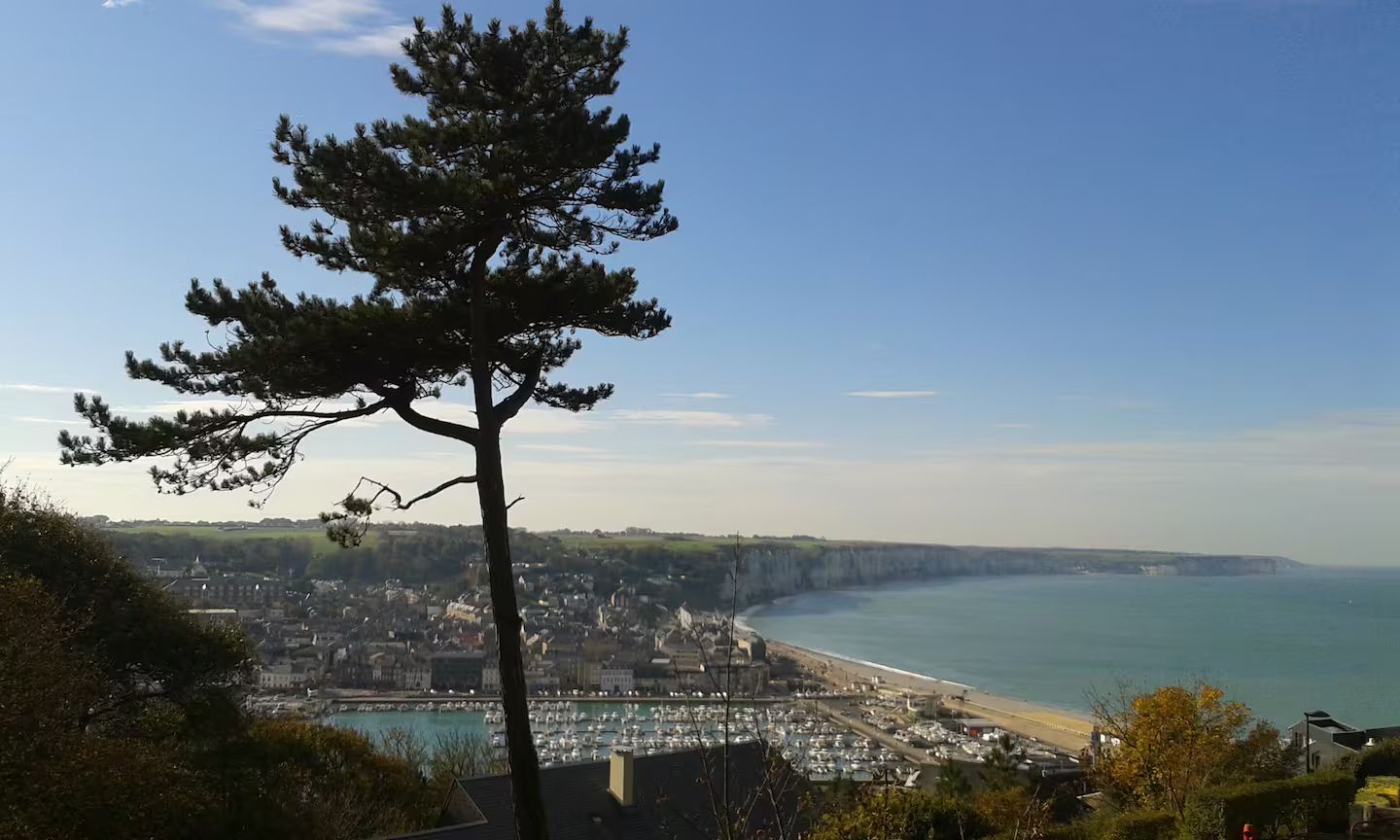 Une vue d'une ville et de l'océan depuis une colline avec un arbre au premier plan