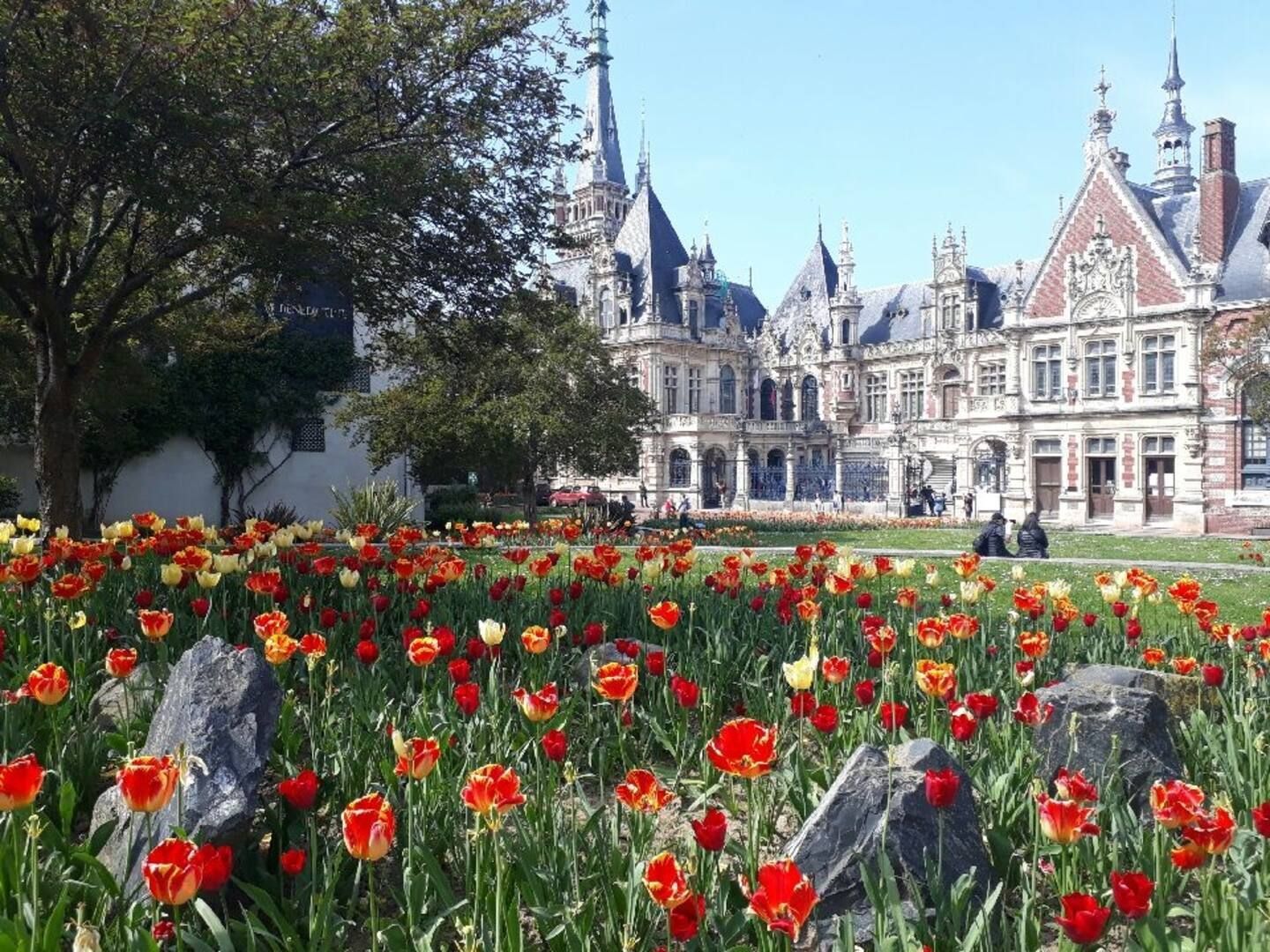 Un champ de fleurs rouges et jaunes devant un grand bâtiment