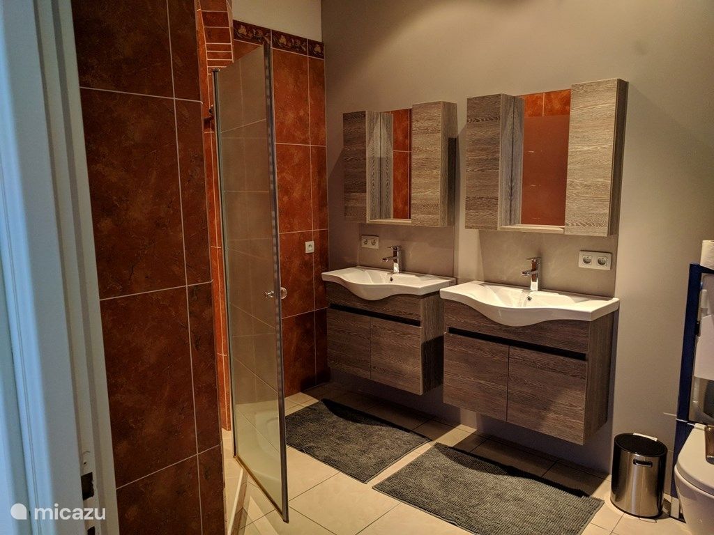 salle de baint avec douche