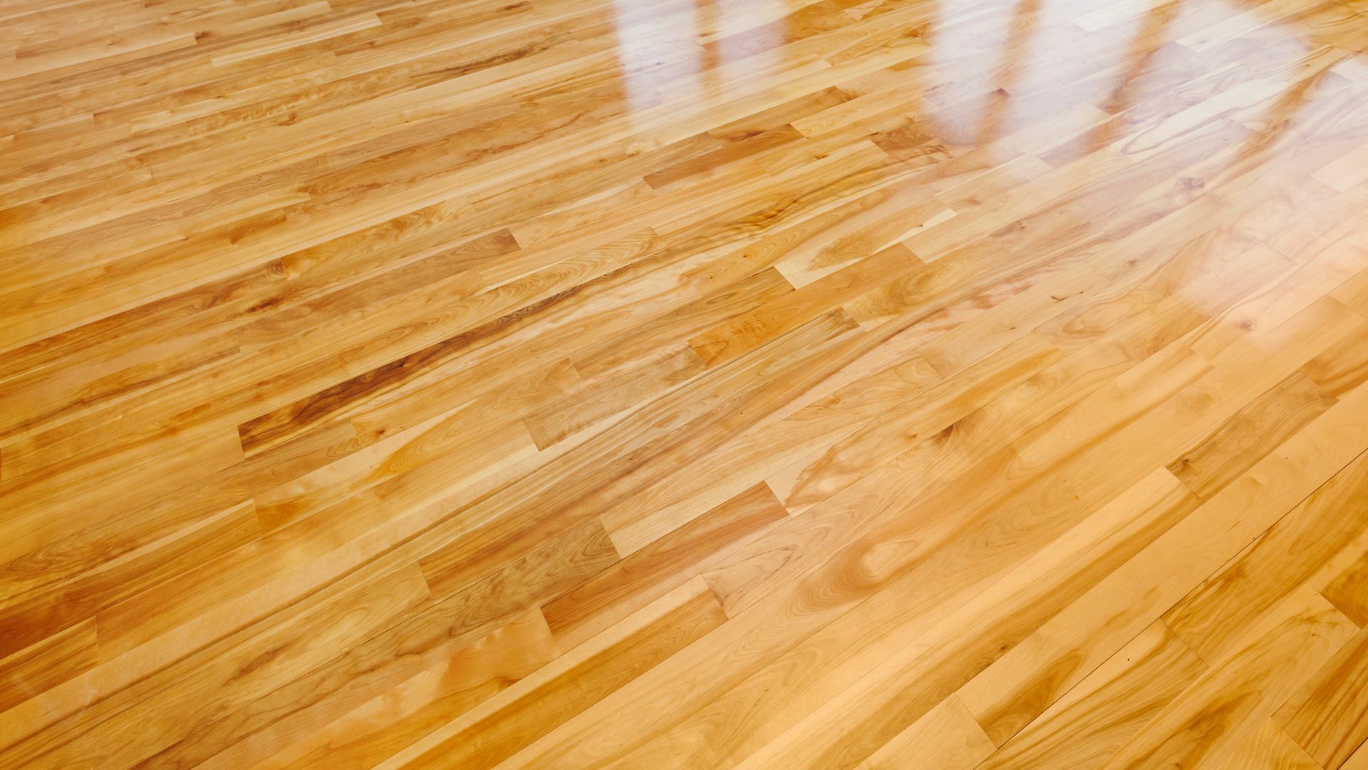 Freshly polished hardwood floor reflecting light in a home in Athens, GA.