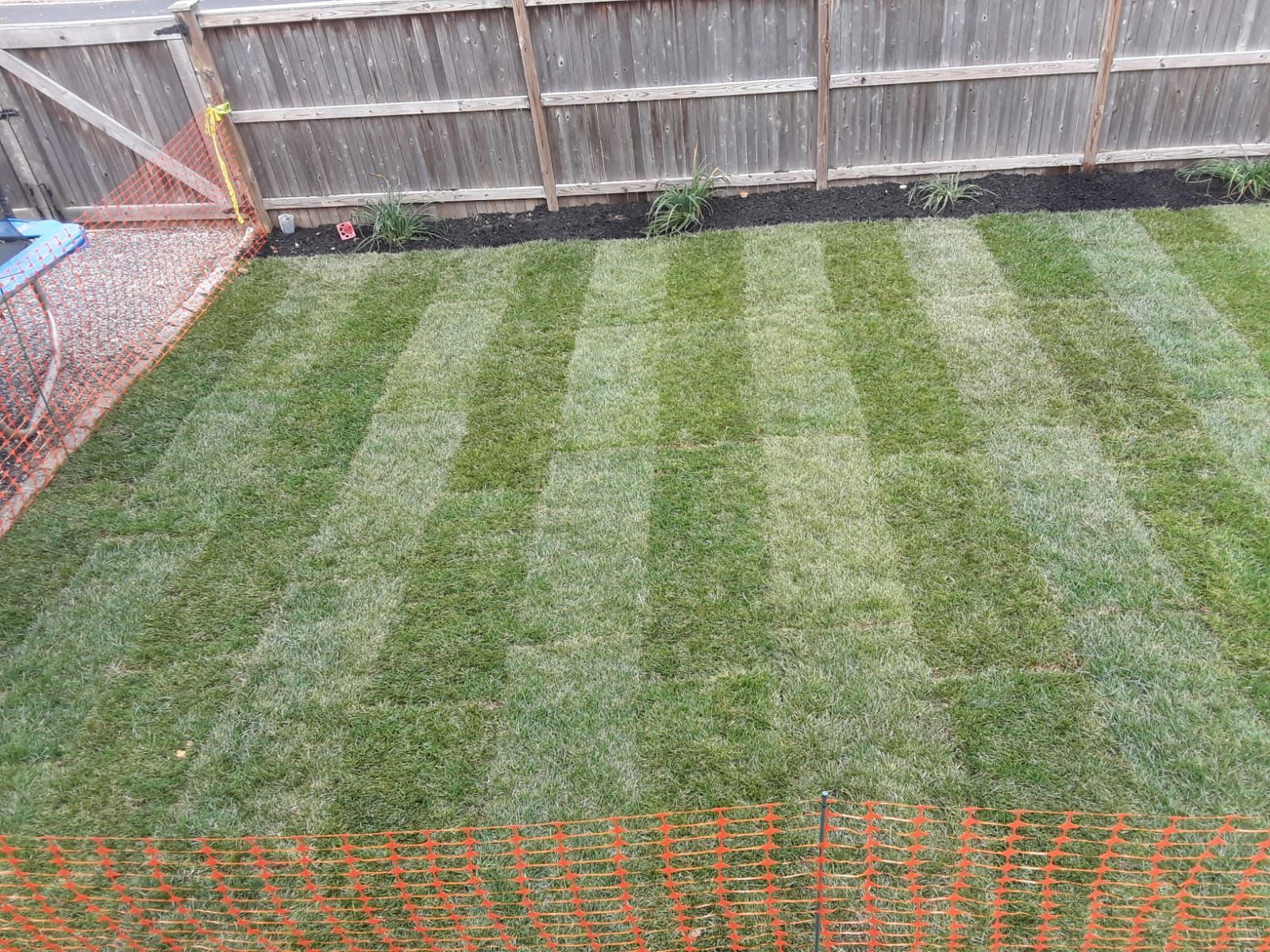 A lawn with a wooden fence