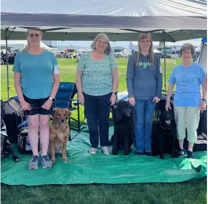 A group of women standing with their dogs under a tent