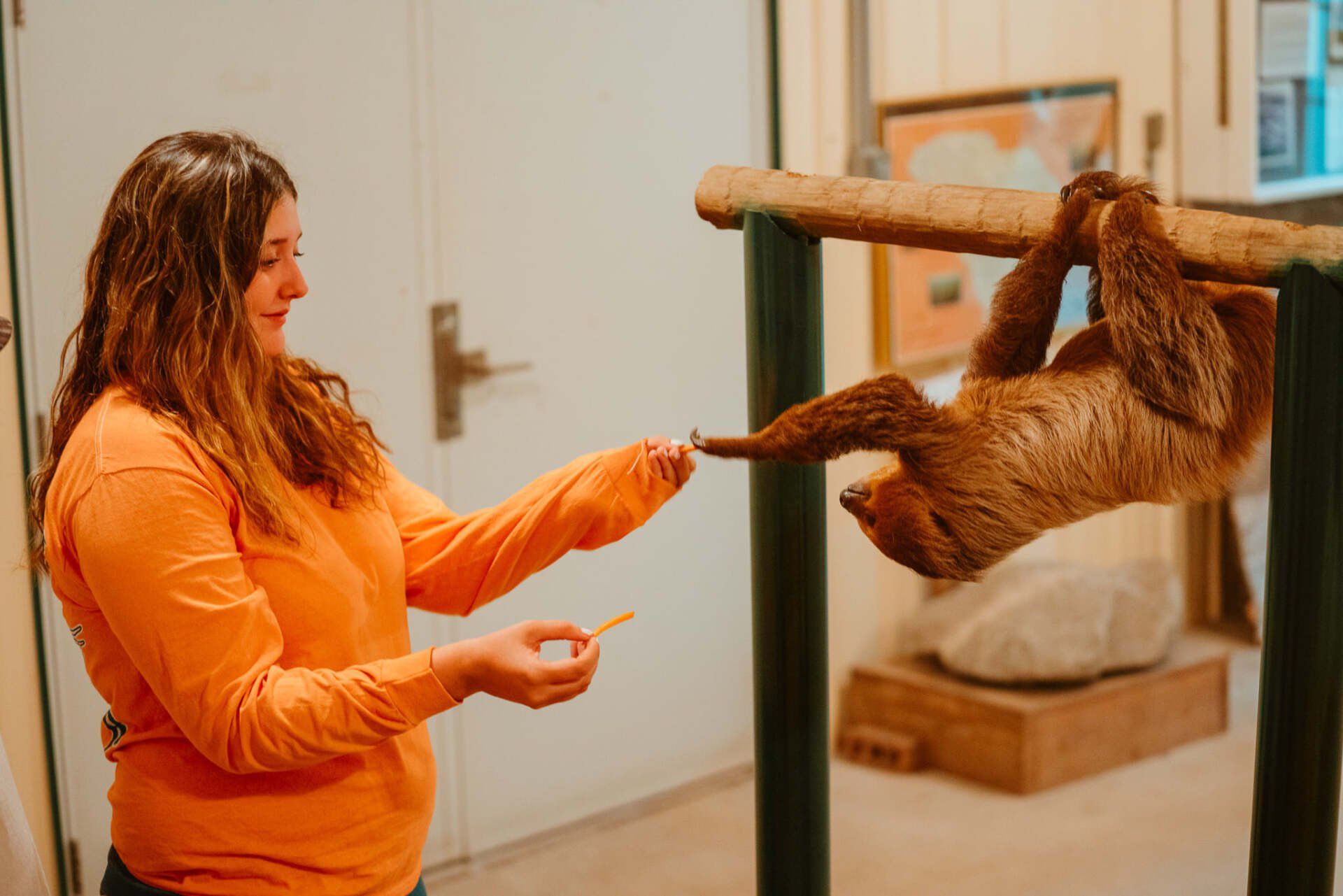 Animal Encounters Summerville, SC