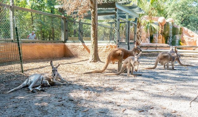 Bee City Zoo & Honey Bee Farm photo 12