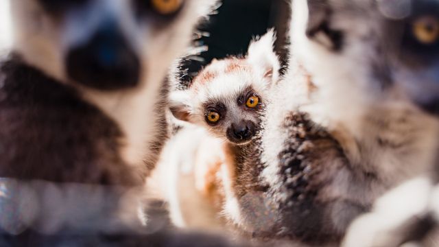 Bee City Zoo & Honey Bee Farm photo 20