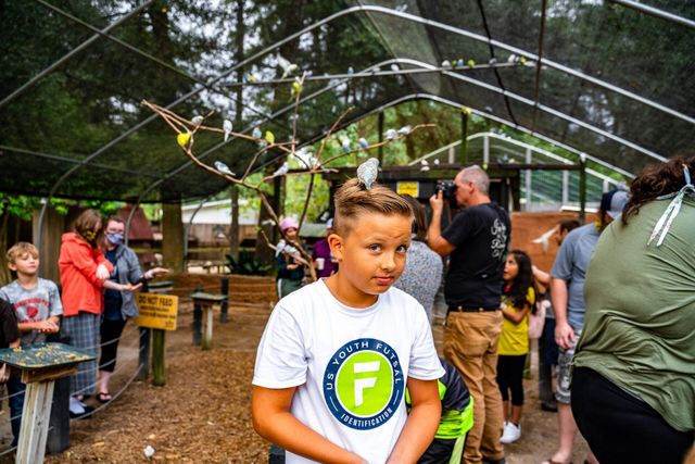 Bee City Zoo & Honey Bee Farm photo 10