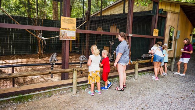 Bee City Zoo & Honey Bee Farm photo 19