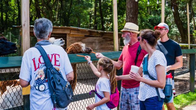 Bee City Zoo & Honey Bee Farm photo 5