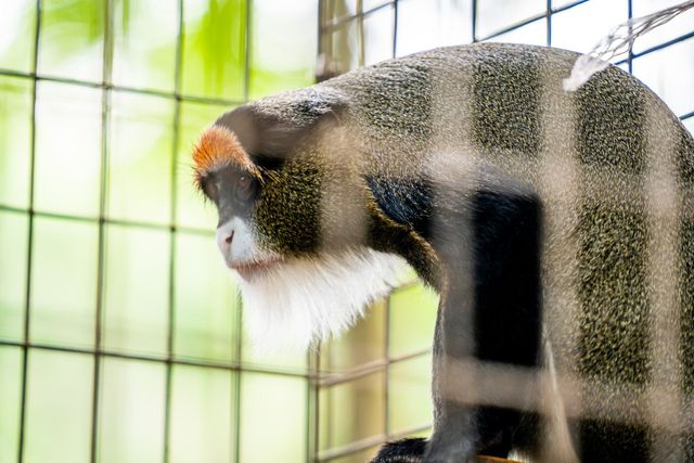 Bee City Zoo & Honey Bee Farm