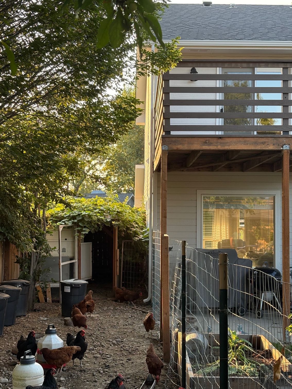 Chickens forage in a backyard under a two-story house with a wooden deck and wire fence.