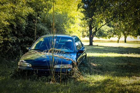 A blue car is parked in the grass in a park.