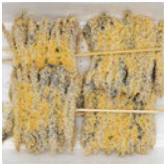 preparati di pesce surgelato gluten free