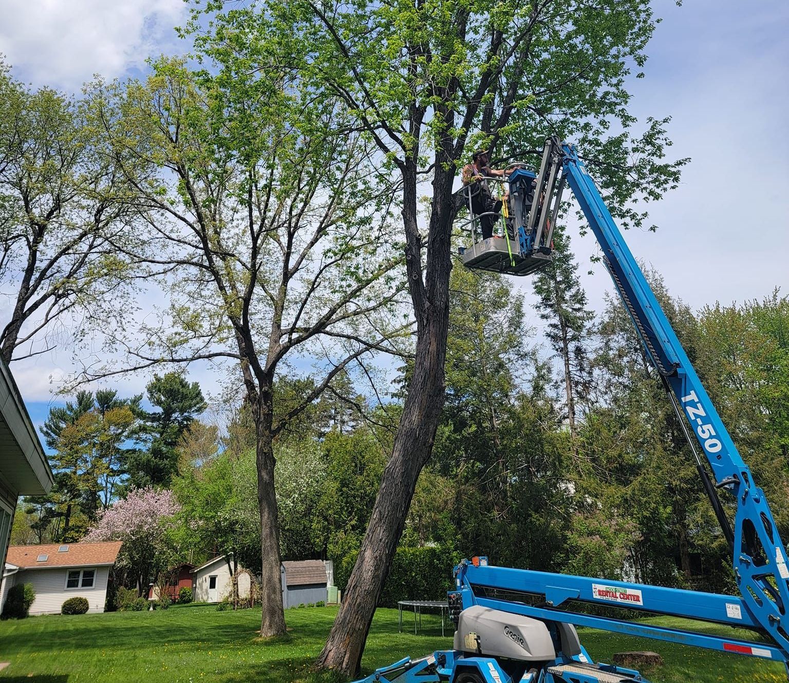 Two people trimming a tree from a blue lift in a yard on a sunny day.